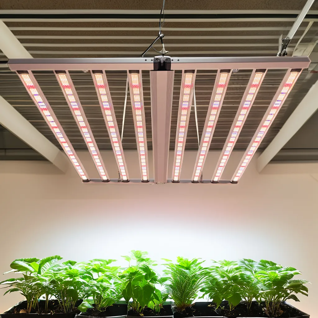 titan-grow-900-plant